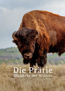 The Prairie; Return of the Wild Trailer