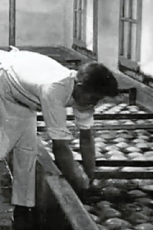 The Preparation of Cheese Trailer