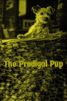 The Prodigal Pup Trailer