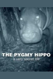 The Pygmy Hippo: A Very Secret Life Trailer