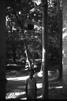The Quail: The Tale of a Boy Who Asks Trailer
