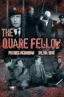 The Quare Fellow Trailer