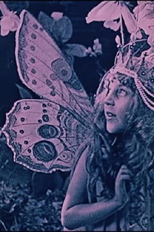 The Queen of the Butterflies Trailer