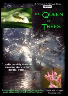 The Queen of Trees Trailer
