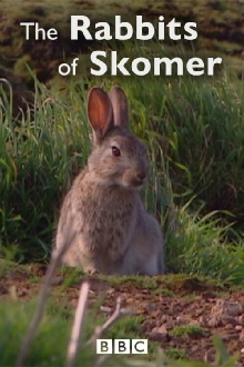 The Rabbits of Skomer Trailer