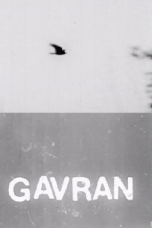 The Raven Trailer