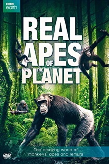 The Real Apes of the Planet Trailer
