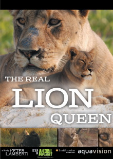 The Real Lion Queen Trailer
