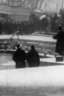 The Reception of King Haakon in Kristiania Trailer