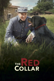 The Red Collar Trailer