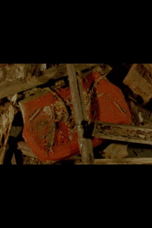 The Red Purse Trailer