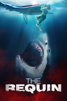 The Requin Trailer