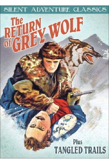 The Return of Grey Wolf Trailer