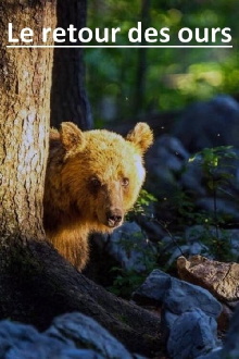 The Return of the Bears Trailer