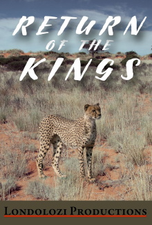 The Return of the Kings Trailer