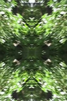 The Richter Garden Trailer