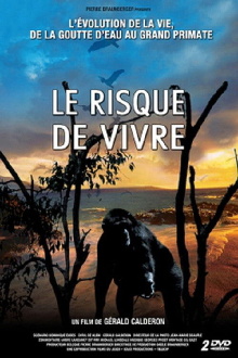 The Risk of Living Trailer