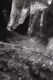 The River Flows to the Sea Trailer
