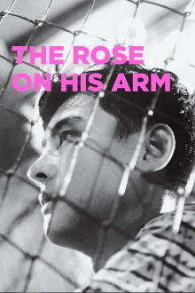 The Rose on His Arm Trailer