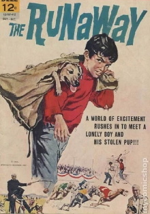 The Runaway Trailer
