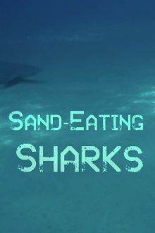 The Sand Eating Shark Trailer