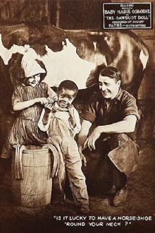 The Sawdust Doll Trailer