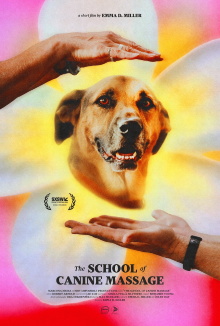 The School of Canine Massage Trailer
