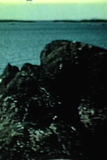 The Sea Trailer