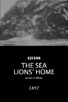 The Sea Lions' Home Trailer