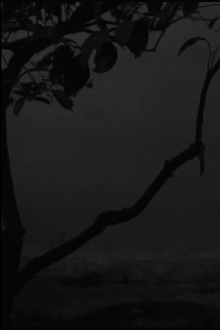 The Seagull Trailer