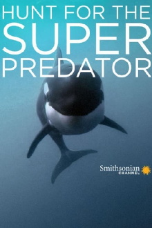 The Search for the Ocean's Super Predator Trailer