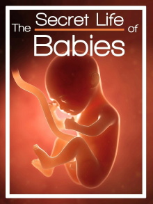 The Secret Life of Babies Trailer