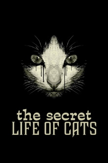 The Secret Life of Cats Trailer