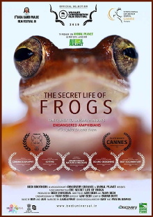 The Secret Life of Frogs Trailer