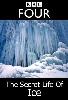 The Secret Life Of Ice Trailer