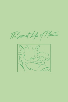 The Secret Life of Plants Trailer