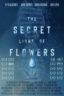 The Secret Light of Flowers Trailer