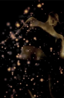 The Seed Trailer