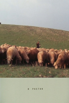 The Shepherd Trailer