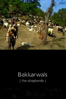 the shepherds Trailer