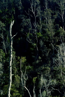the sky in our hands, our hands in the sky Trailer
