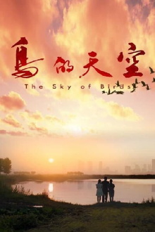 The Sky of Birds Trailer