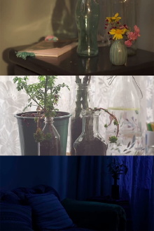 The Sleeping Beauty Trailer