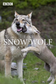 The Snow Wolf: A Winter's Tale Trailer