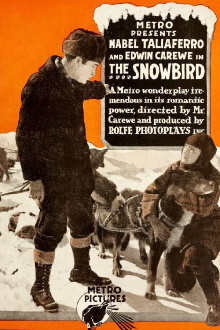 The Snowbird Trailer