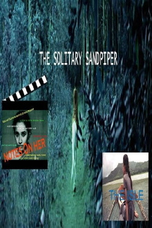 The Solitary Sandpiper Trailer