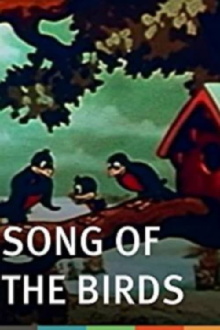 The Song of the Birds Trailer