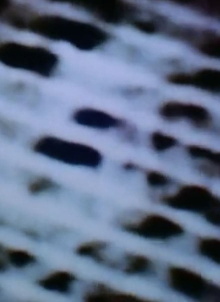 The Space in Between (Airport Architecture) Trailer