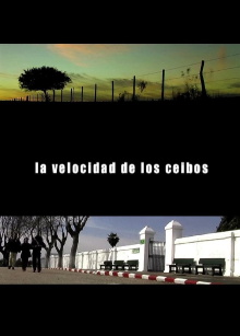 The Speed of the Ceibos Trailer