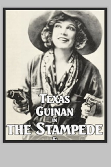 The Stampede Trailer